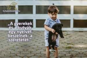 kutyás idézetek „A gyerekek és a kutyák egy nyelvet beszélnek