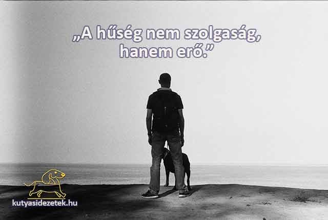 Illyés Gyula idézetek A hűség nem szolgaság