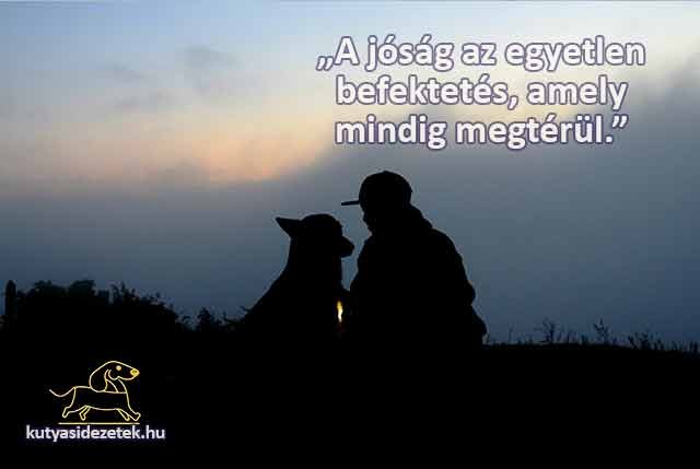 Illyés Gyula idézetek A jóság az egyetlen befektetés