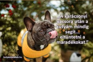 karácsonyi kutyás idézetek „A karácsonyi vacsora után a kutyám mindig segít...