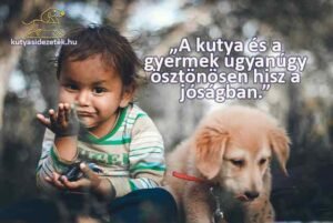 Kisgyermek és kölyökkutya egymás mellett – „A kutya és a gyermek ugyanúgy ösztönösen hisz a jóságban.” – Konrad Lorenz