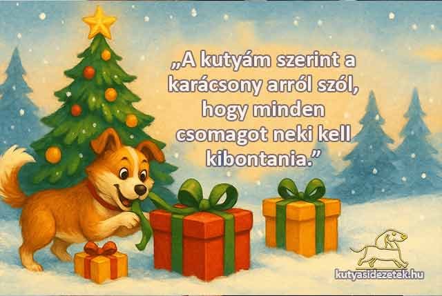 karácsonyi kutyás idézetek „A kutyám szerint a karácsony arról szól