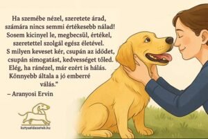 Aranyos Ervin Kutya