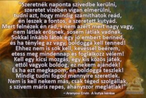 Aranyosi Ervin: A kutya kérése