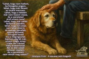 Aranyosi Ervin: A szeretet nem öregszik (egy öreg kutya vallomása)