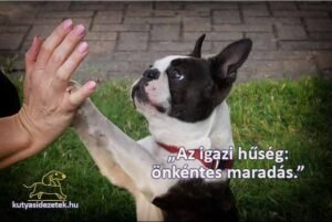 Illyés Gyula idézetek Az igazi hűség