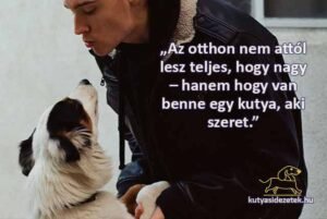 kutyás idézetek „Az otthon nem attól lesz teljes, hogy nagy