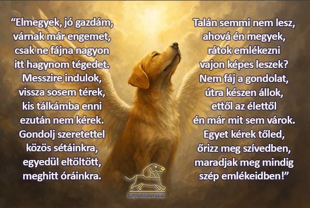 Egy kutya búcsúja