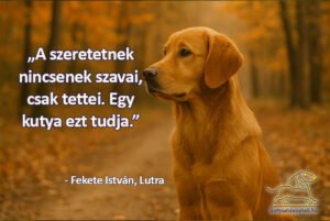 Fekete István idézetek Lutra