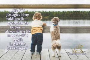 Ha két jóságos lény találkozik