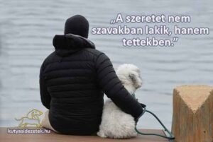 Illyés Gyula A szerete nem szavakban lakik