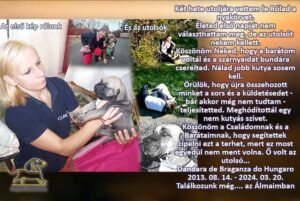 kutya búcsúztató - Két hete utoljára vettem le rólad a nyakörvet