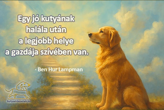 Kutya halál idézetek