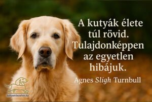 kutya idézet A kutyák élete túl rövid. Tulajdonképpen az egyetlen hibájuk. Agnes Sligh Turnbull