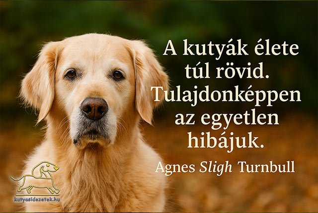 kutya idézet A kutyák élete túl rövid. Tulajdonképpen az egyetlen hibájuk. Agnes Sligh Turnbull