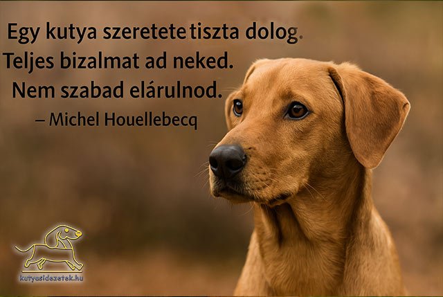 kutya idézet Agnes Sligh Turnbull