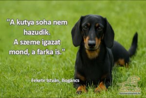 kutya idézet Fekete István A kutya nem hazudik