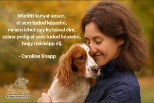 kutya idézet Mielőtt kutyát veszel