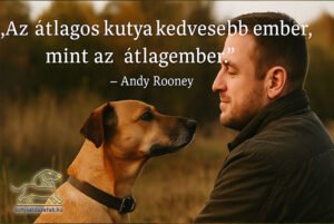 kutya idézetek Az átlagos kutya kedvesebb ember, mint az átlagember. Andy Rooney