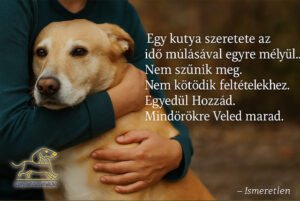 kutya idézetek Egy kutya szeretete