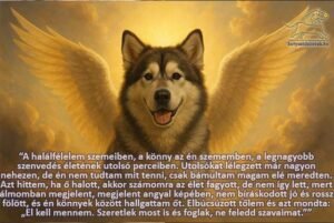 kutya versek A halálfélelem szemeiben