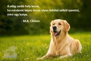 kutyás idézet M.K. Clinton