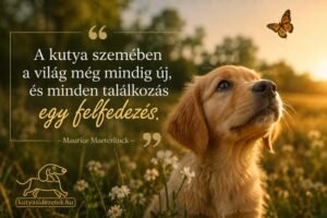 Kutyás idézet kép Maurice Maeterlinck idézetével: A kutya szemében a világ még mindig új, és minden találkozás egy felfedezés