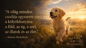 Kutyás idézet kép Maurice Maeterlinck idézetével: A világ minden csodája egyszerre vár a kölyökkutyára: a föld, az ég, a szél, az…