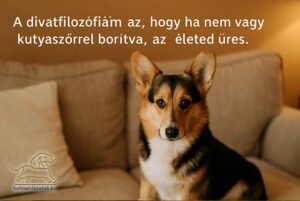 kutyás idézet Gilda Radner