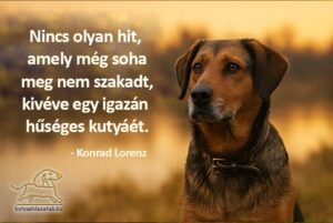 Konrad Lorenz kutyás idézet
