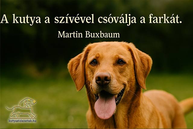 kutyás idézet Martin Buxbaum