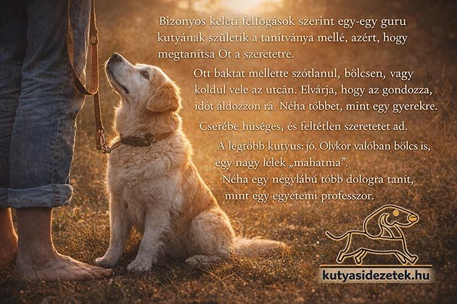 Hűséges kutya ül gazdája mellett naplementében, keleti tanítás ihlette kutyás idézettel a szeretetről és bölcsességről