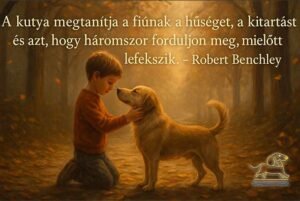 kutyás idézetek A kutya megtanítja a fiúnak a hűséget