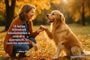 Kutyás idézetek - A kutya örömének köszönhetően a miénk is gyarapszik.