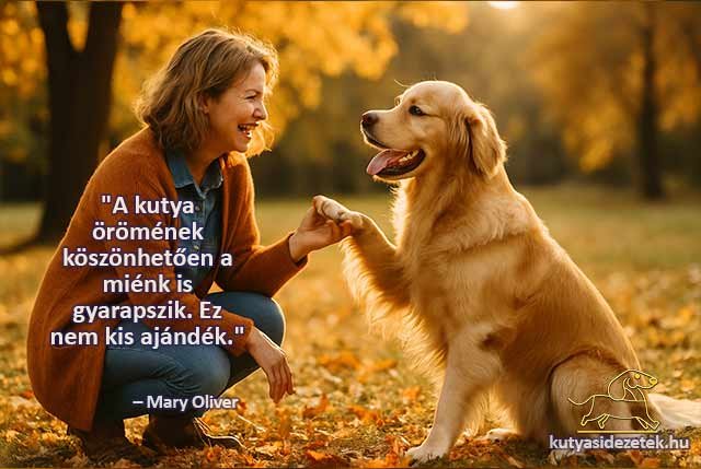 Kutyás idézetek - A kutya örömének köszönhetően a miénk is gyarapszik.