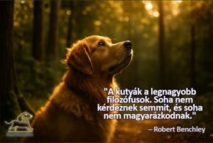 kutyás idézetek A kutyák a legnagyobb filozófusok