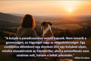 kutyás idézetek - A kutyák a paradicsomhou vezető kapunk