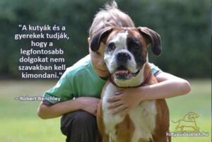 kutyás idézetek A kutyák és a gyerekek tudják