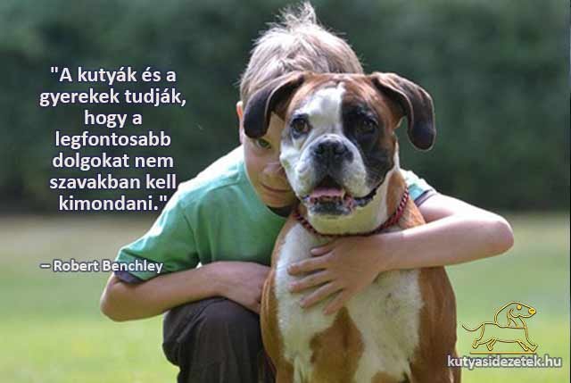 kutyás idézetek A kutyák és a gyerekek tudják