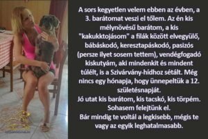 kutyás idézetek A sors kegyetlen velem ebben az évben