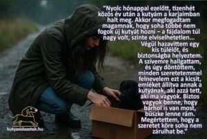 Fiatal nő egy kartondobozban talált, elázott kiskutyát emel fel egy esős, sötét estén.