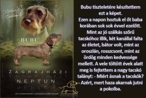 kutyás idézetek Bubu tiszteletére