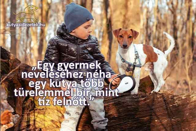 Kisfiú pórázon vezet egy kis termetű kutyát őszi erdőben – „Egy gyermek neveléséhez néha egy kutya több türelemmel bír, mint tíz felnőtt.”