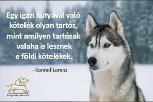 kutyás idézetek Egy igazi kutyával..