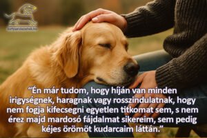 george eliot idézetek - én már tudom, hogy híján van minden irigységnek