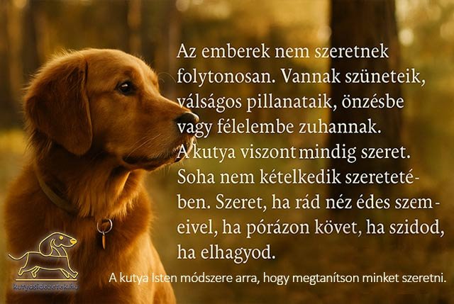 kutyás idézetek Fabrizio Caramagna