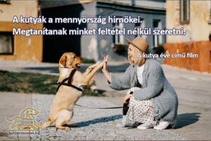 kutyás idézetek filmekből A kutya éve