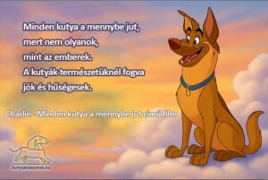 Kutyás idézetek filmekből - Charlie
