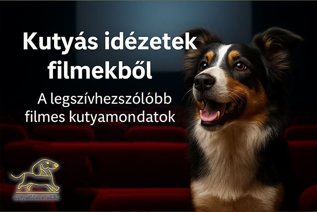 Kutyás idézetek filmekből