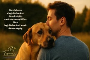kutyás idézetek Hűség
